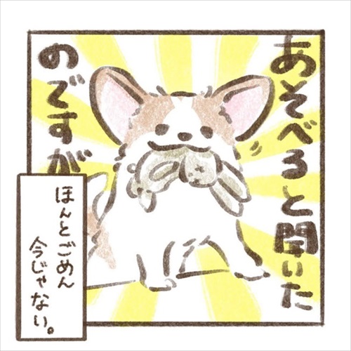 遊んでもらえると勘違いするワンちゃん