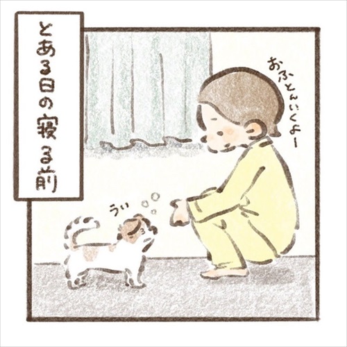 遊んでもらえると勘違いするワンちゃん