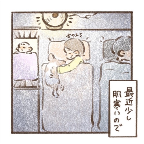 遊んでもらえると勘違いするワンちゃん