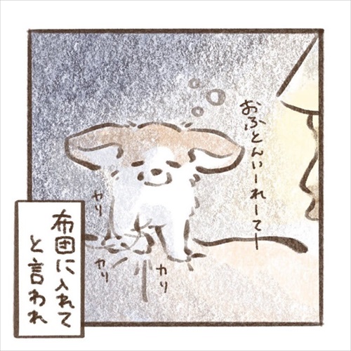 遊んでもらえると勘違いするワンちゃん