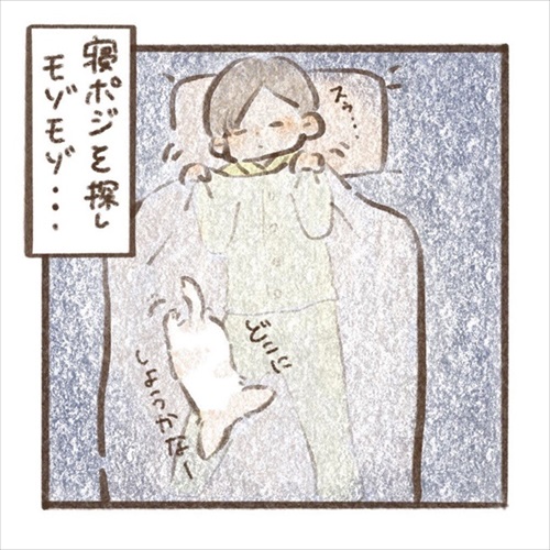 遊んでもらえると勘違いするワンちゃん