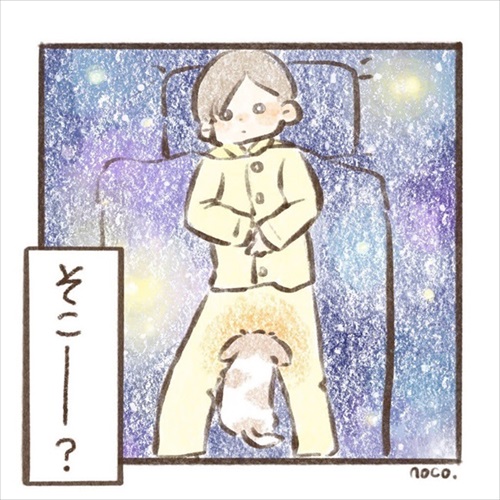 遊んでもらえると勘違いするワンちゃん