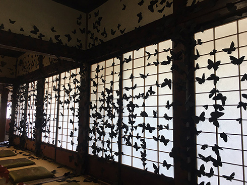 ひぇっ……！と声が漏れる迫力　座敷が黒い蝶に覆われたインスタレーションアート作品がホラーのようですごい