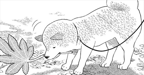 今日のさんぽんた