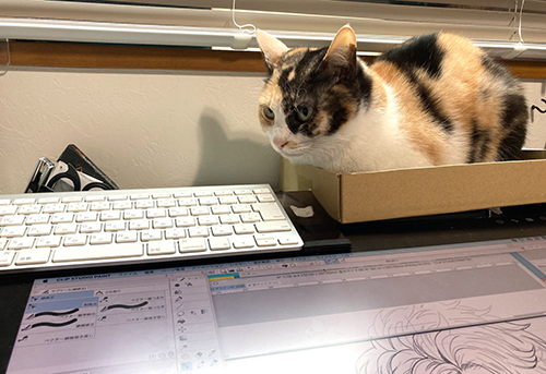 箱入りピノちゃん