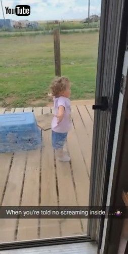 「Sometimes You Just Gotta Scream || ViralHog」