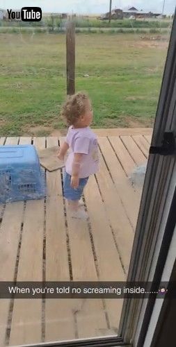 「Sometimes You Just Gotta Scream || ViralHog」