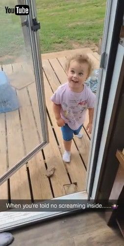 「Sometimes You Just Gotta Scream || ViralHog」