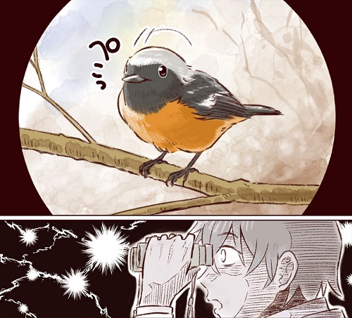 ばーどらいふ！