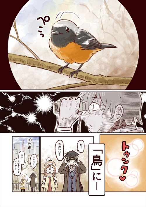 ばーどらいふ！