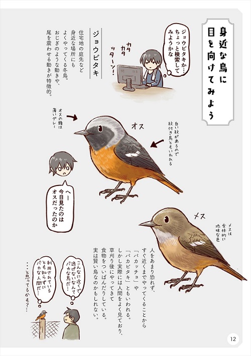 ばーどらいふ！