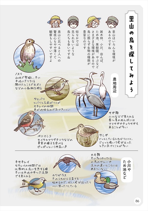 ばーどらいふ！