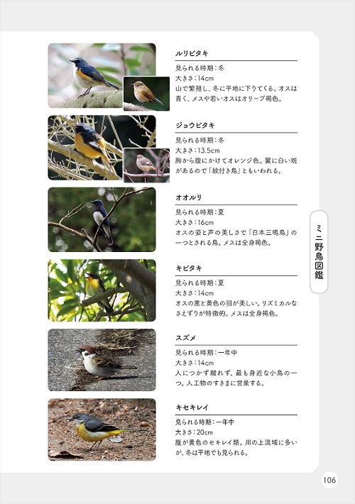 ばーどらいふ！