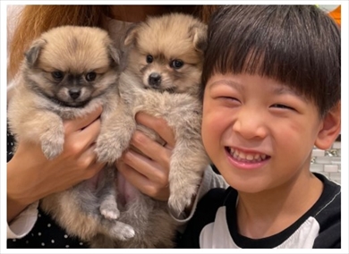 遠藤章造 妻 ブログ 子犬 ペット ココリコ