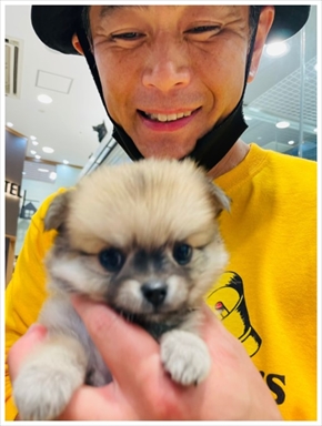 遠藤章造 妻 ブログ 子犬 ペット ココリコ