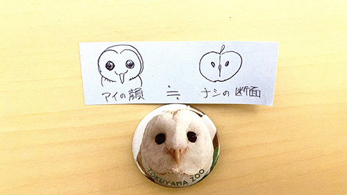 アイちゃんとナシの比較イラスト