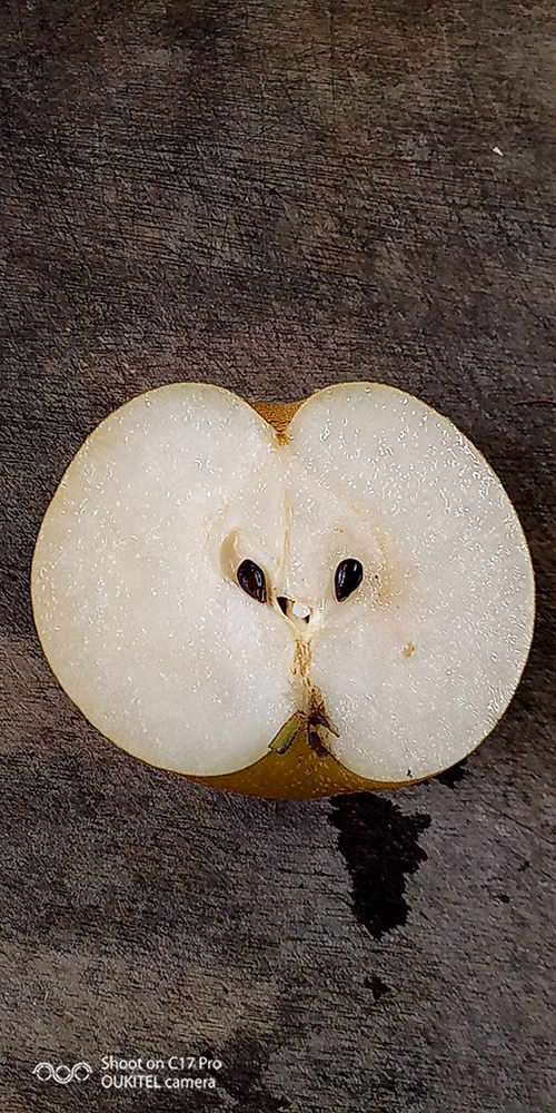 ナシ半分