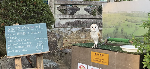 南園正門入り口付近のアイちゃん