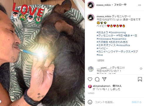 大沢樹生 犬 ベイビー ハニー 死