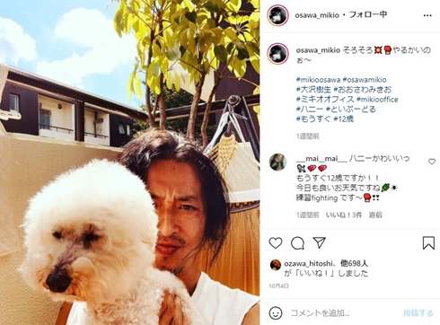 大沢樹生 犬 ベイビー ハニー 死