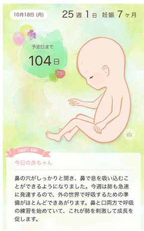 だいたひかる 妊娠 7か月 写真 公開 出産 体重 ウエスト マタニティ