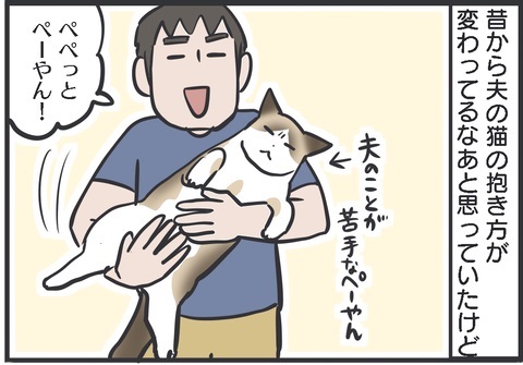 夫さんに抱っこされ無になる猫ちゃん