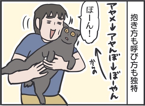 夫さんに抱っこされ無になる猫ちゃん