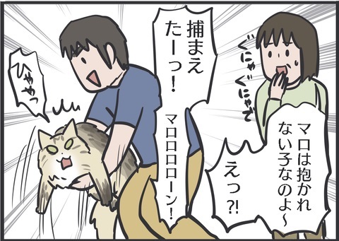 夫さんに抱っこされ無になる猫ちゃん