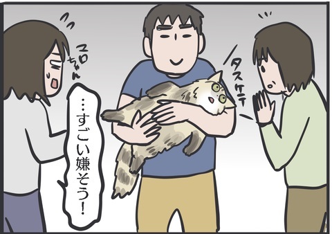 夫さんに抱っこされ無になる猫ちゃん