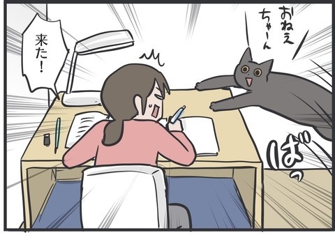 夫さんに抱っこされ無になる猫ちゃん