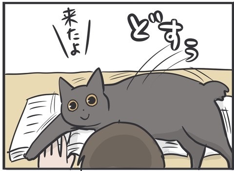 夫さんに抱っこされ無になる猫ちゃん