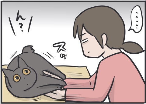 夫さんに抱っこされ無になる猫ちゃん