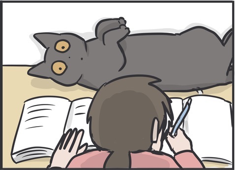 夫さんに抱っこされ無になる猫ちゃん