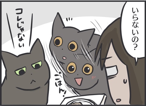 夫さんに抱っこされ無になる猫ちゃん