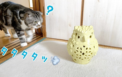 「沖縄から来たフクロウさんの置き物♪」