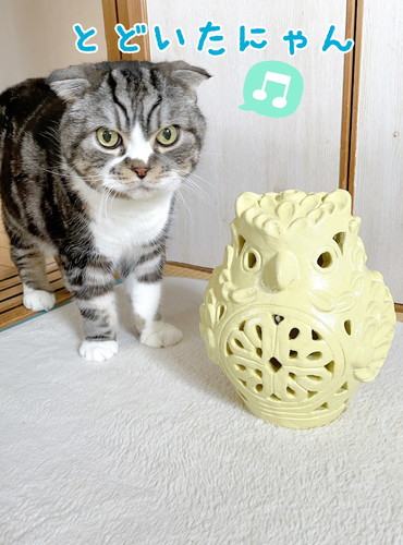 「沖縄から来たフクロウさんの置き物♪」