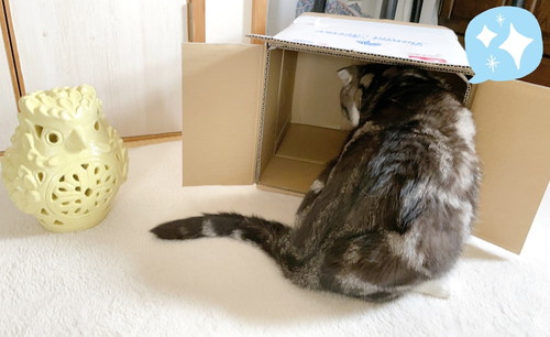 「沖縄から来たフクロウさんの置き物♪」