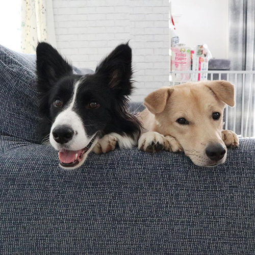 こゆきちゃんとるいちゃん