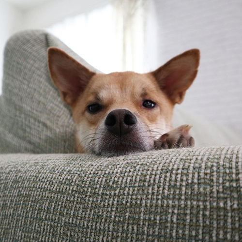 こゆきちゃんとるいちゃん