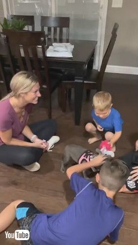 「Boys Surprised by Dream Puppy || ViralHog」