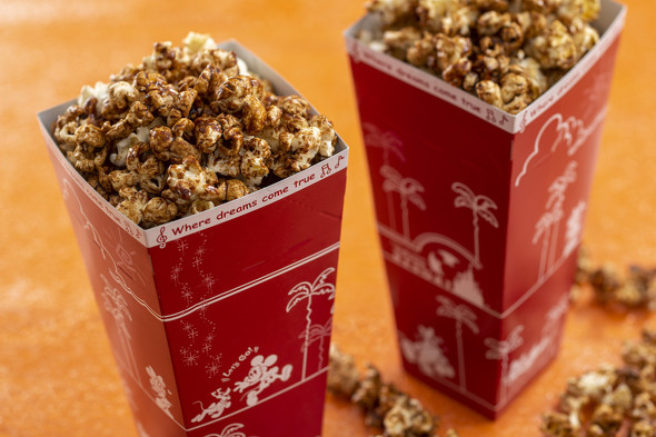 TDR ポップコーン