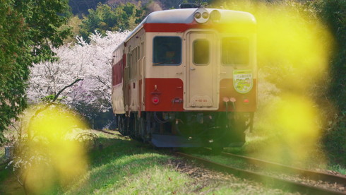 いすみ鉄道 国鉄形気動車 急行