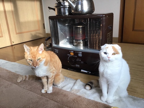 Twitterでストーブと検索すると