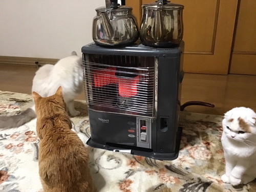 Twitterでストーブと検索すると