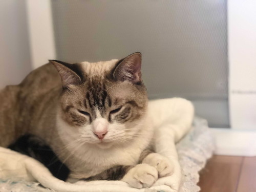 Twitterでストーブと検索すると