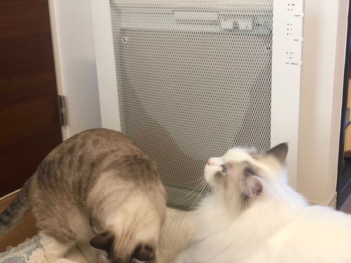 Twitterでストーブと検索すると