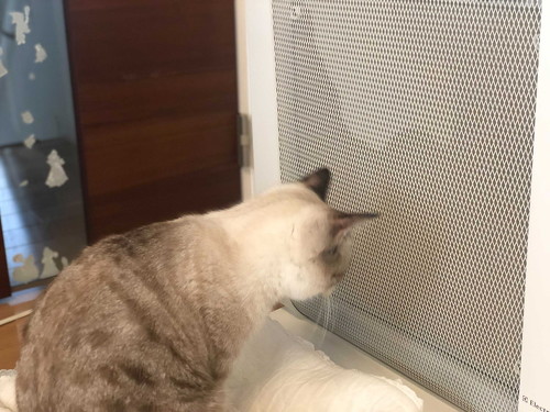 Twitterでストーブと検索すると