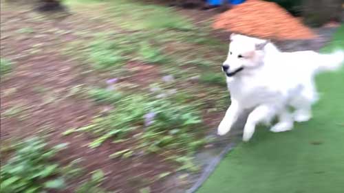 おすすめ