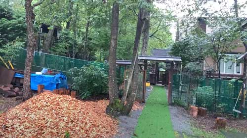 超大型犬 グレートピレニーズ ルンルン アラン いがぐり 悲鳴 駆け寄る