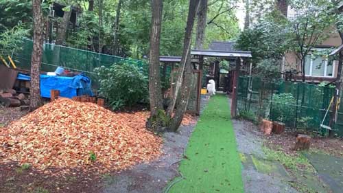 超大型犬 グレートピレニーズ ルンルン アラン いがぐり 悲鳴 駆け寄る